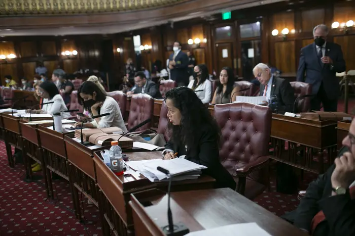 Councilmember Alexa Avilés cast a no vote on the budget.